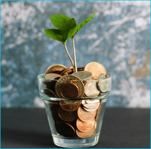 Imagem de uma planta